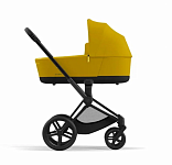 Mustard Yellow